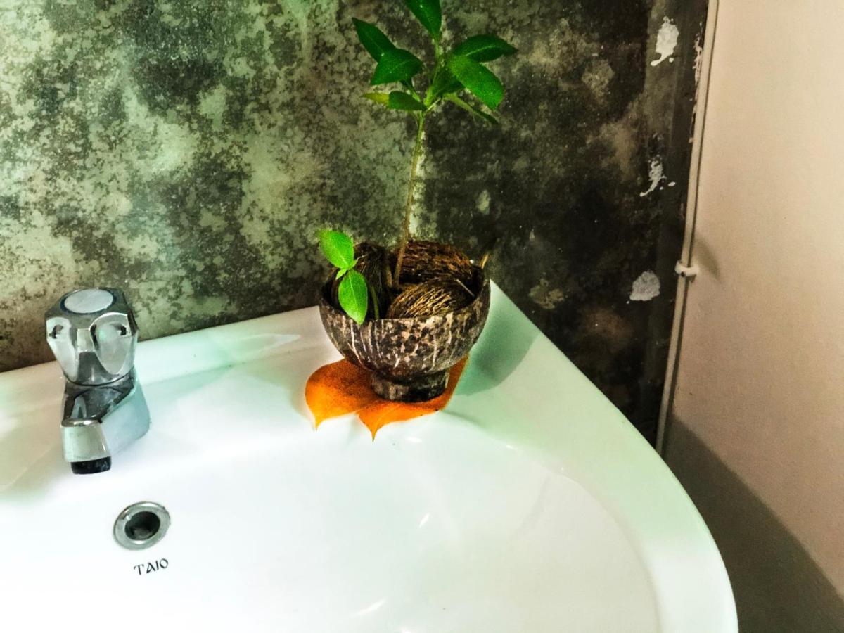 Dodanduwa Circus Lagoon Hideaway Bed & Breakfast エクステリア 写真